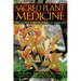 Sacred Plant Medicine: The Wisdom in Native American Herbalism