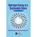 Hydrogen Energy in a Sustainable Future: Phantom or Panacea?