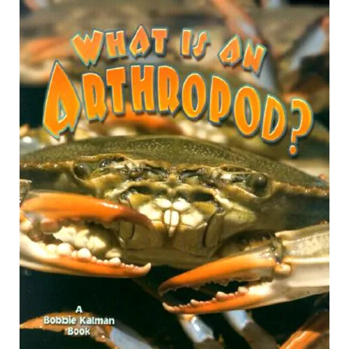 What Is an Arthropod?