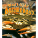 What Is an Arthropod?