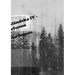 Di ångermanländska IV - di återfunna
