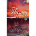 Flames on the Sky