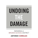 Undoing the Damage: Repairing a Broken School District
