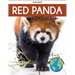 Red Panda