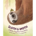 Sloth & Moth: A Better-Together Friendship