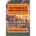 The Firebugs of Northwest Ohio