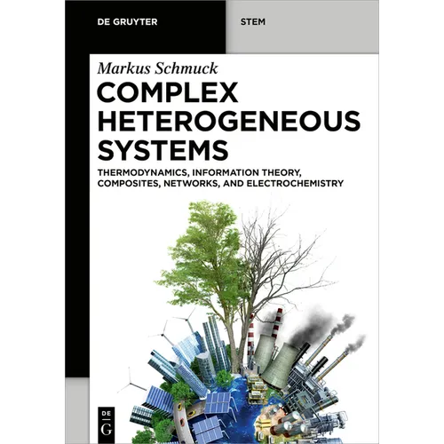 Complex Heterogeneous Systems: Thermodynamics, Information Theory, Composites, Networks, and Electrochemistry