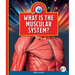 What Is the Muscular System?