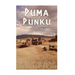 Puma Punku: The History of Tiwanaku's Spectacular Temple of the Sun