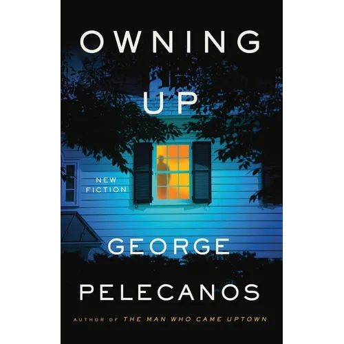 Owning Up: New Fiction