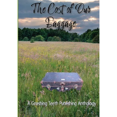The Cost of Our Baggage
