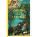Coming Out Catholic