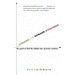 Stalking the Riemann Hypothesis: The Quest to Find the Hidden Law of Prime Numbers