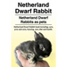 Netherland Dwarf Rabbit. Netherland Dwarf Rabbits as pets. Netherland Dwarf Rabbit book including pros and cons, care, housing, cost, diet and health.