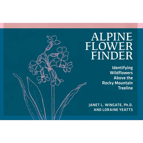 Alpine Flower Finder: Identifying Wildflowers Above the Rocky Mountain Treeline
