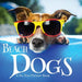 Beach Dogs, A No Text Picture Book: A Calming Gift for Alzheimer Patients and Senior Citizens Living With Dementia