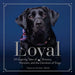 Loyal: 38 Inspiring Tales of Bravery, Heroism, and the Devotion of Dogs