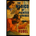 The Medico of Painted Springs