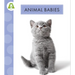 Animal Babies