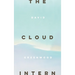 The Cloud Intern