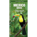 Mexico Birds: A Folding Pocket Guide to Familiar Species