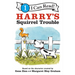 Harry's Squirrel Trouble