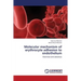 Molecular Mechanism of Erythrocyte Adhesion to Endothelium