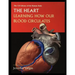 The Heart: Learning How Our Blood Circulates