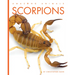 Scorpions