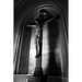Homilies for St. Bernadette