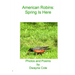 American Robins