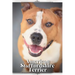 American Staffordshire Terrier: Dog breed overview and guide