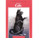 Tales of Cats