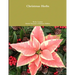 Christmas Herbs