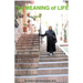 The MEANING of LIFE: (Going Into the Light)