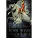The Greatest Horse Trainer on Earth: The Sylvia Zerbini Story