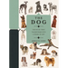 Paperscapes: The Dog: A Book That Transforms Into a Work of Art