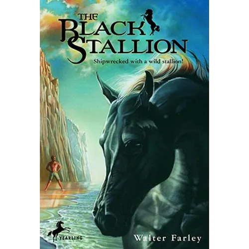 The Black Stallion