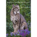 Wildcat on the Shoreline