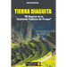 Tierra Diaguita: El Regreso de la Serpiente Cabeza de Fuego