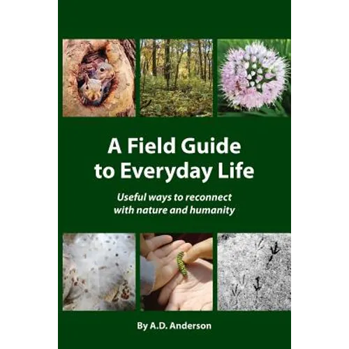 A Field Guide to Everyday Life: Useful Ways to Reconnect with Nature & Humanity