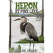 Heron at Pine Lake