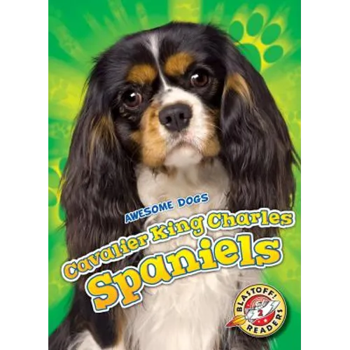 Cavalier King Charles Spaniels