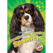 Cavalier King Charles Spaniels