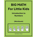 BIG MATH for Little Kids: Introduction to Numbers (Workbook)