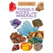 Fossils, Rocks, and Minerals