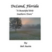 DeLand, Florida "A Beautiful little Southern Town"