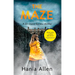 The Maze