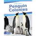 Penguin Colonies
