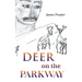 Deer on the Parkway